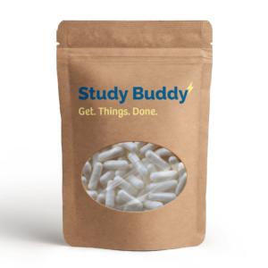 Study Buddy - 60